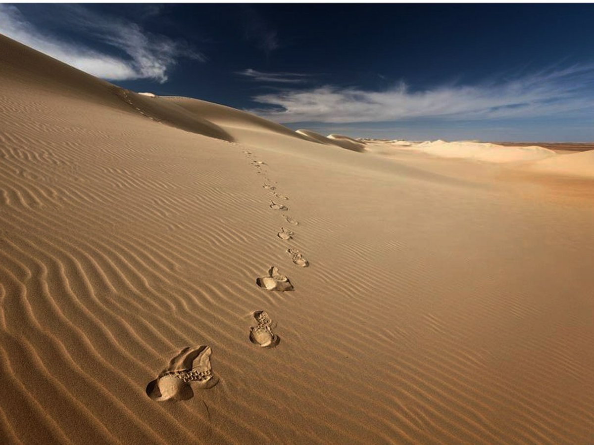 Следы в пустыне