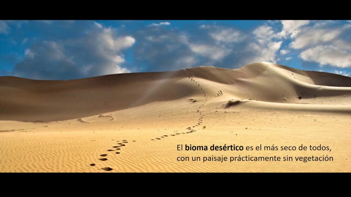 Следы на песке в пустыне