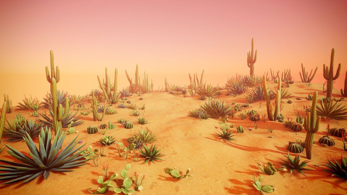 Кактусовая Долина концепт арт