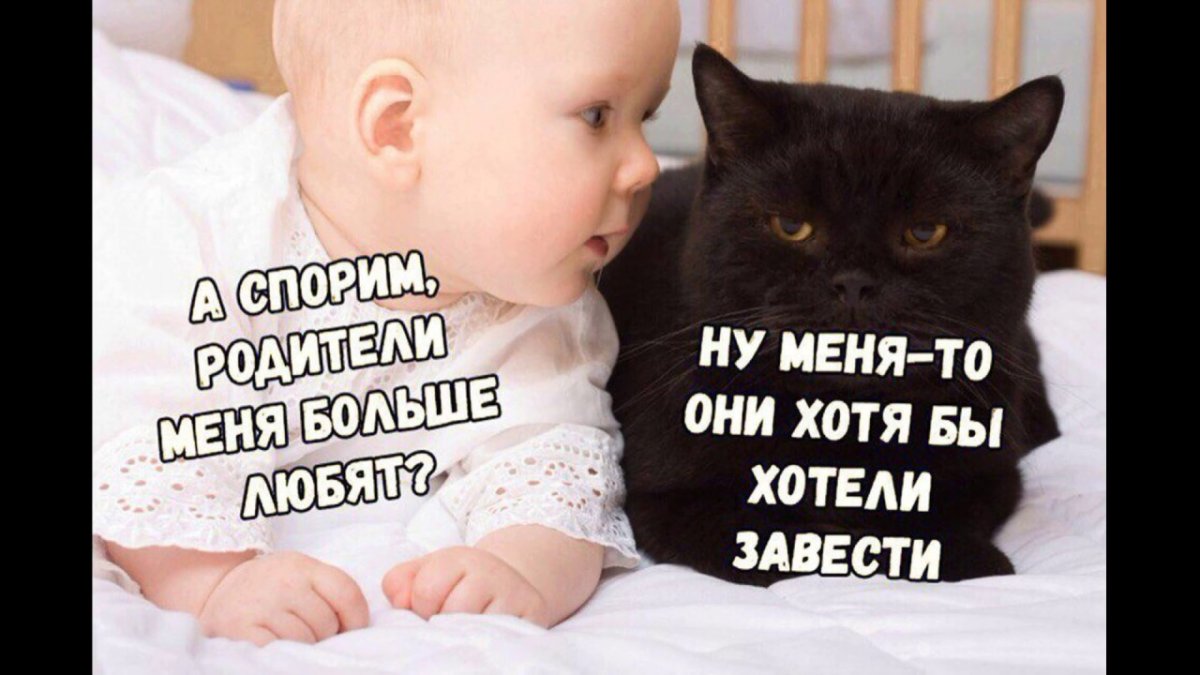 Картинки прикольные смешные с надписями