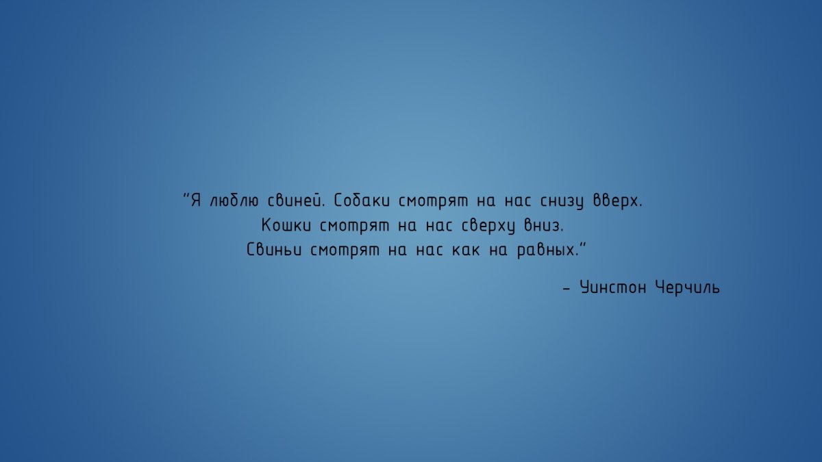 Заставка для ноутбука с цитатой