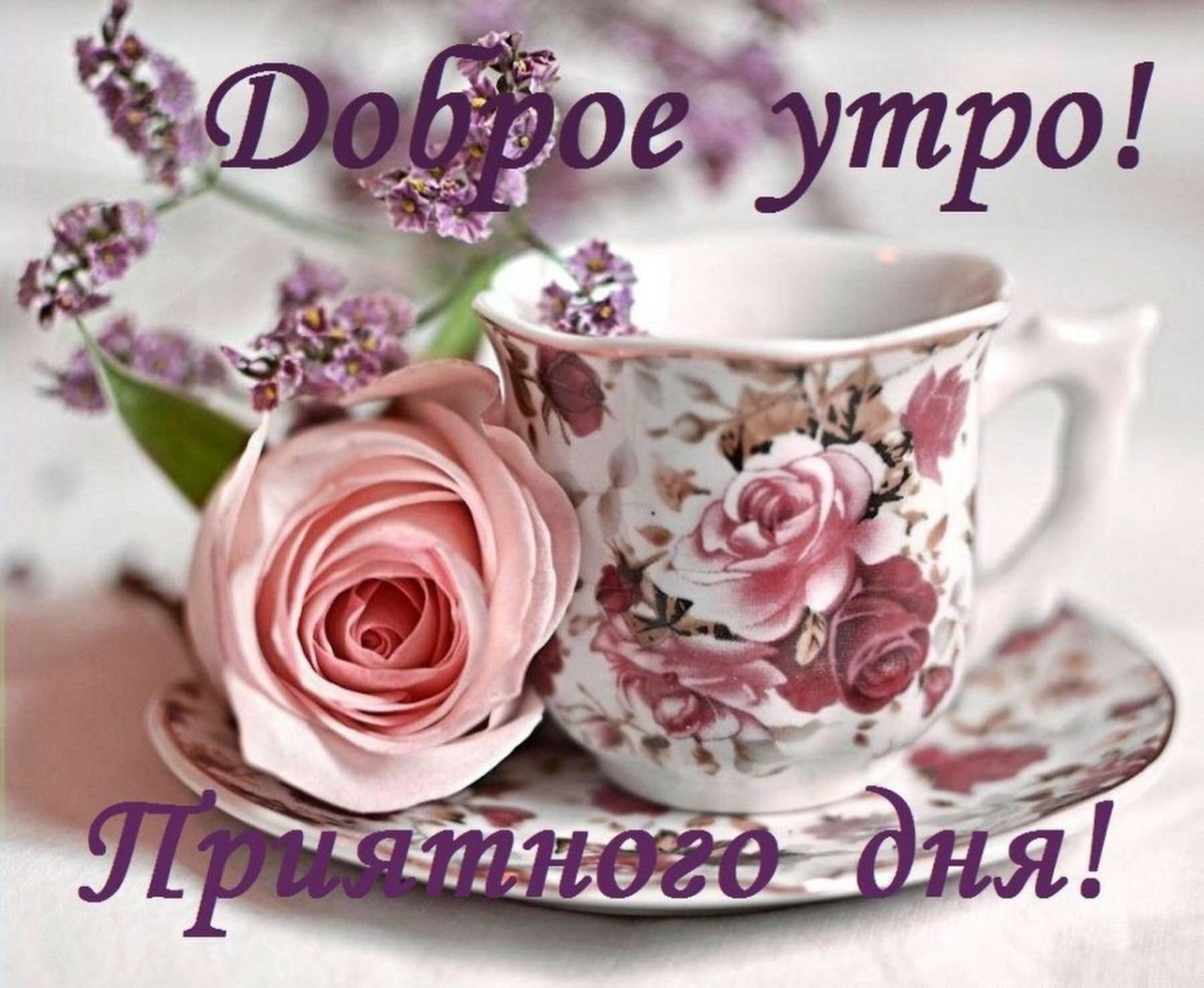 Удачного дня природа