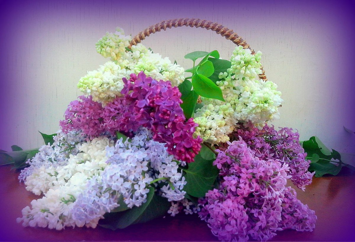 Отличного денечка и прекрасного настроения