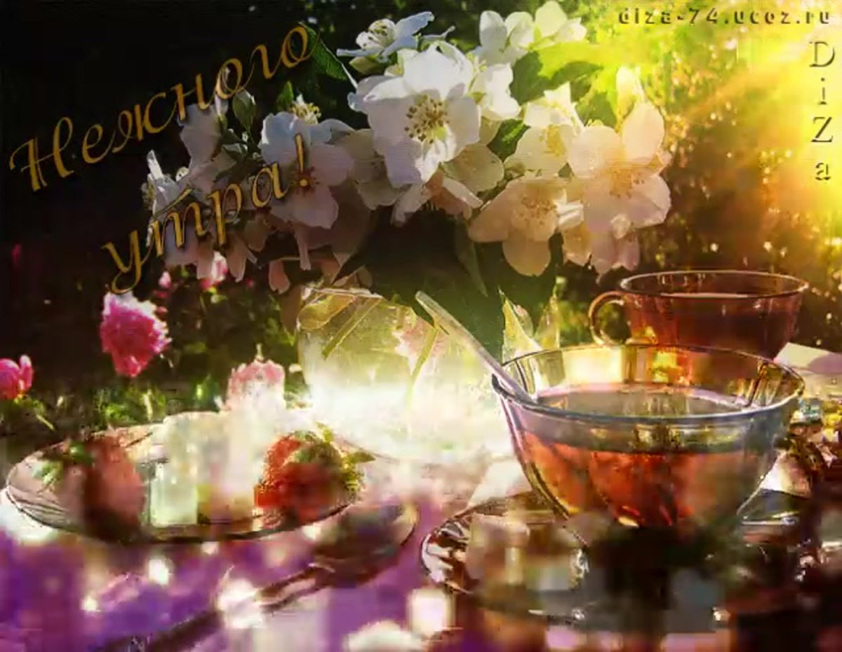 Пожелания с добрым летним утром