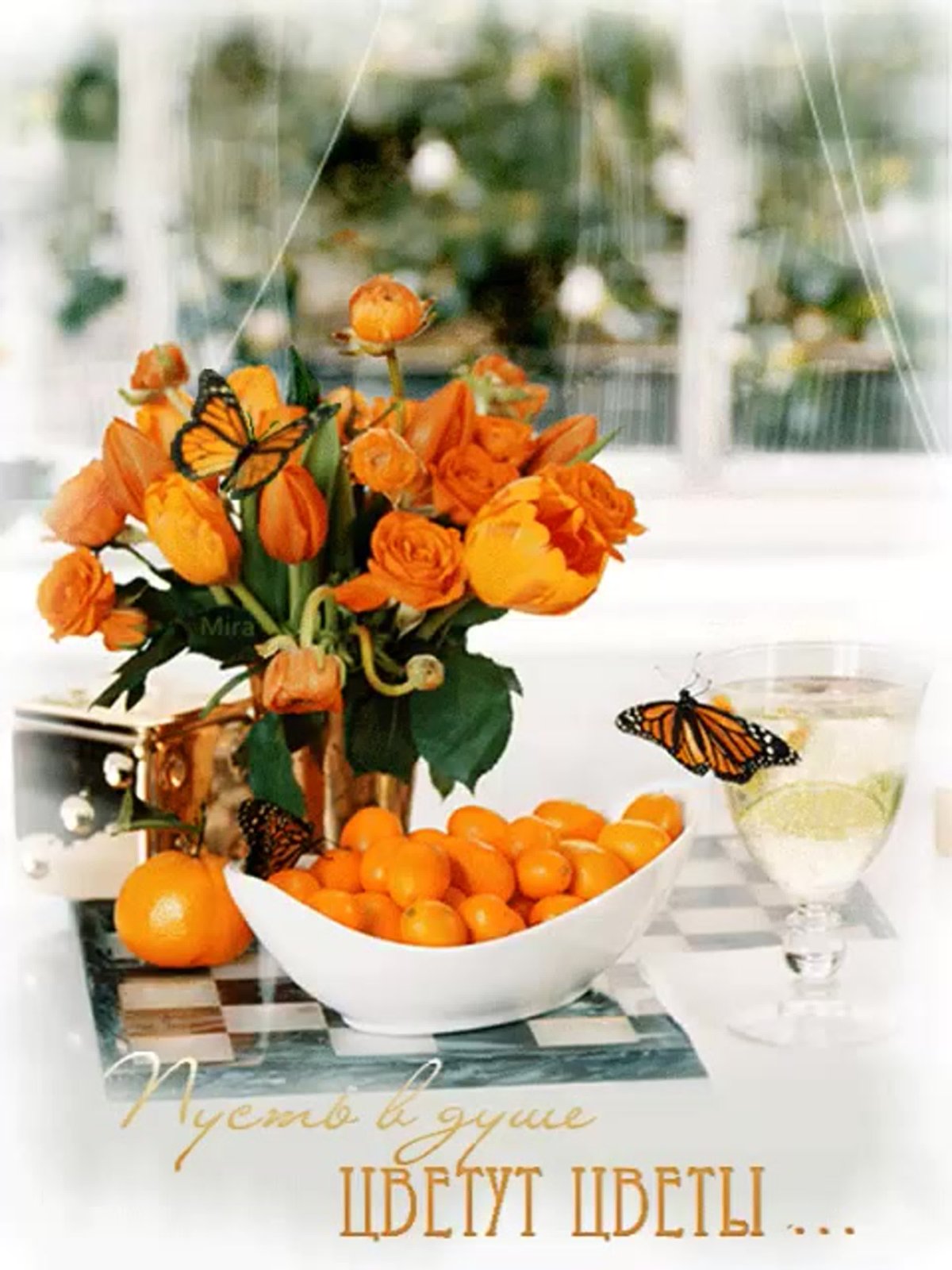 Необычные пожелания с добрым утром