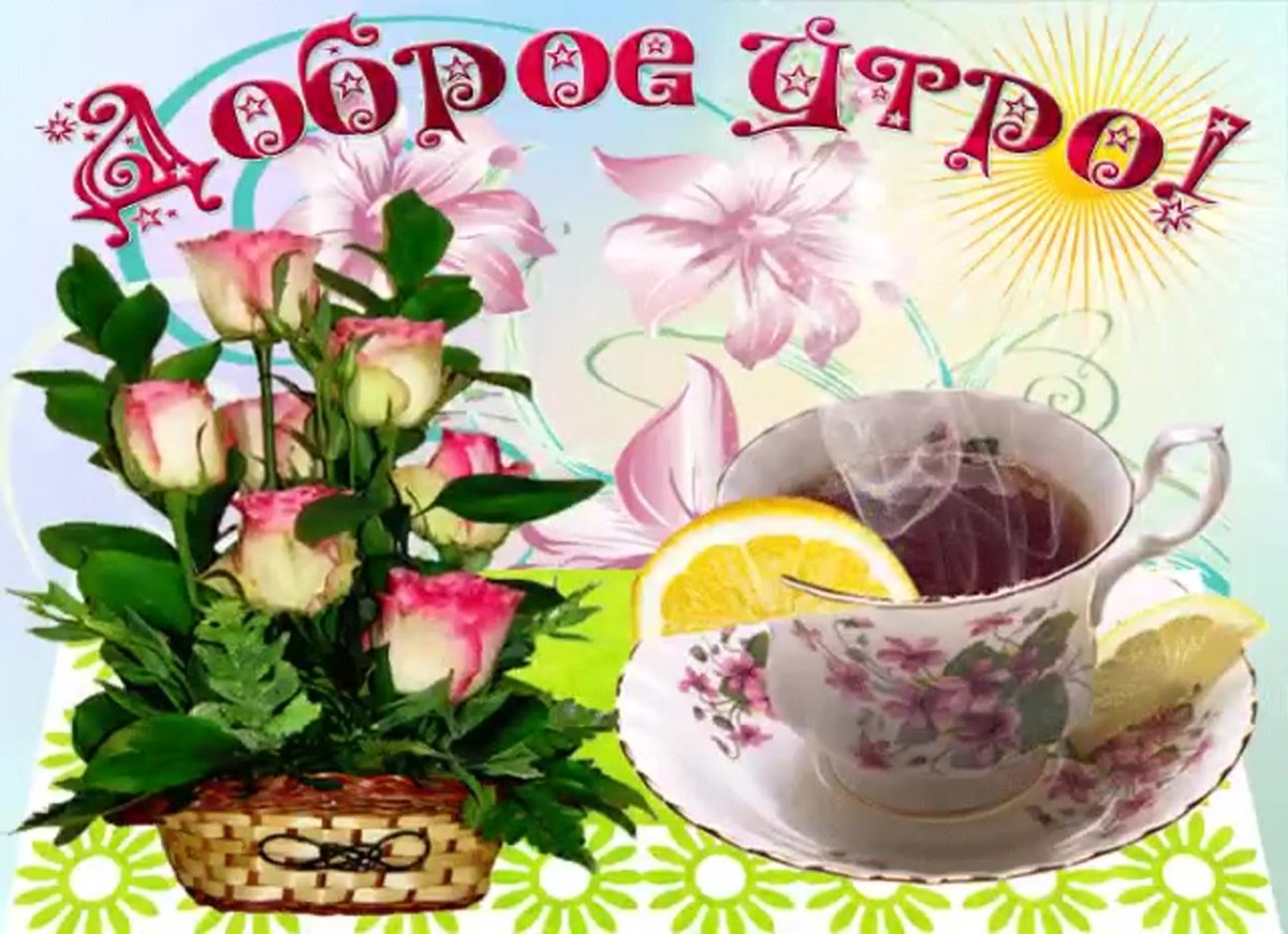 Прекрасного яркого вечера