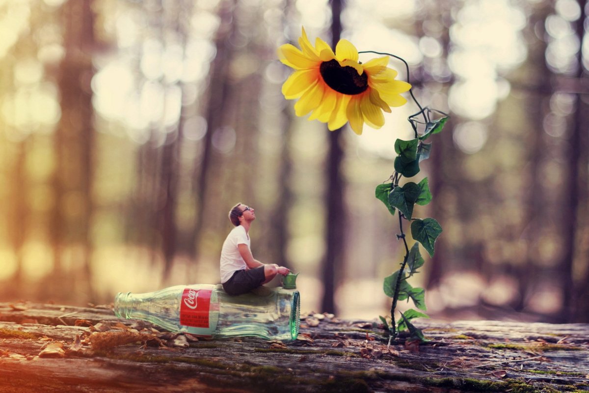 Позитивные цветы