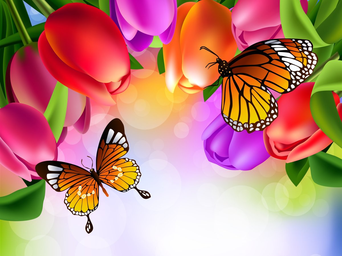 Бабочки цветочки