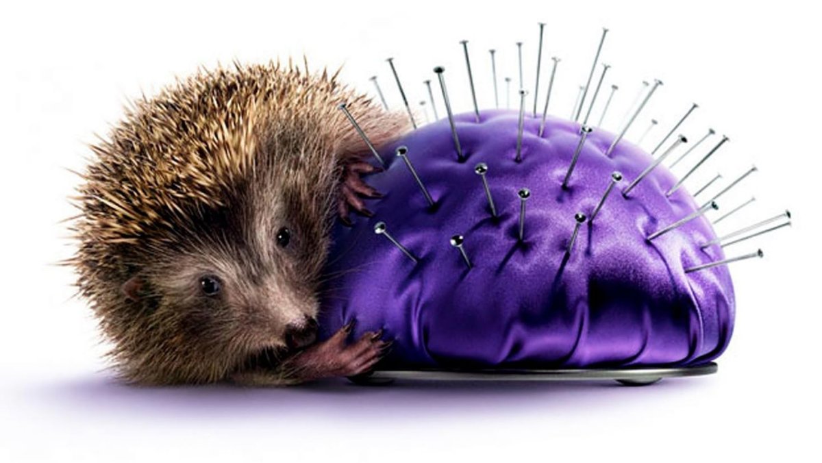 Фиолетовый Ежик