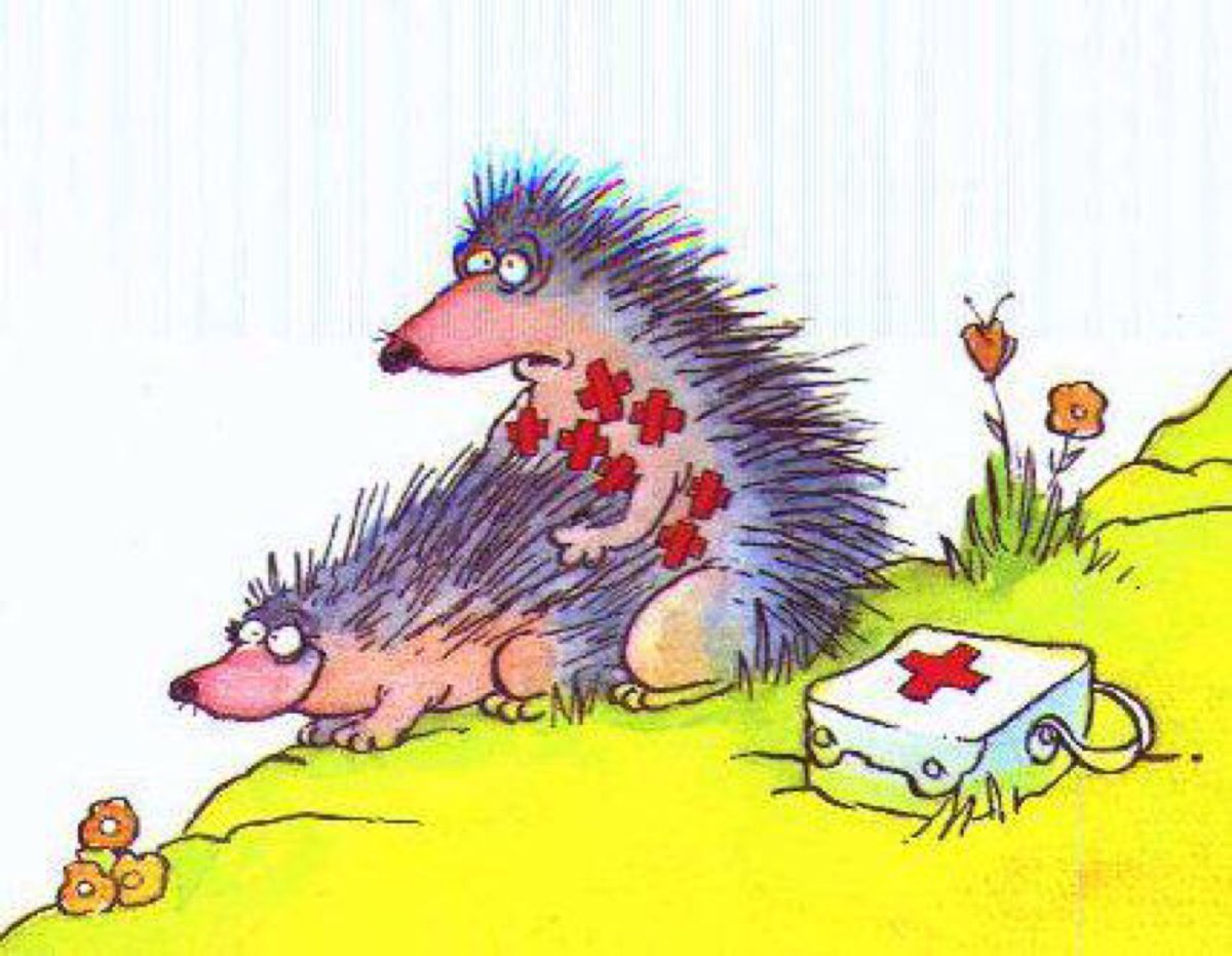 Ежики сношаются