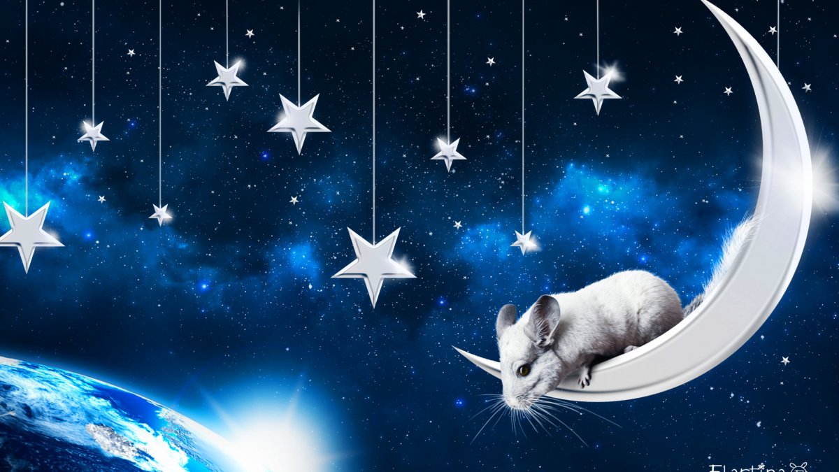 Спокойной ночи космос