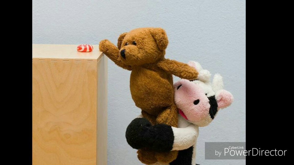 Важно поддерживать друг друга