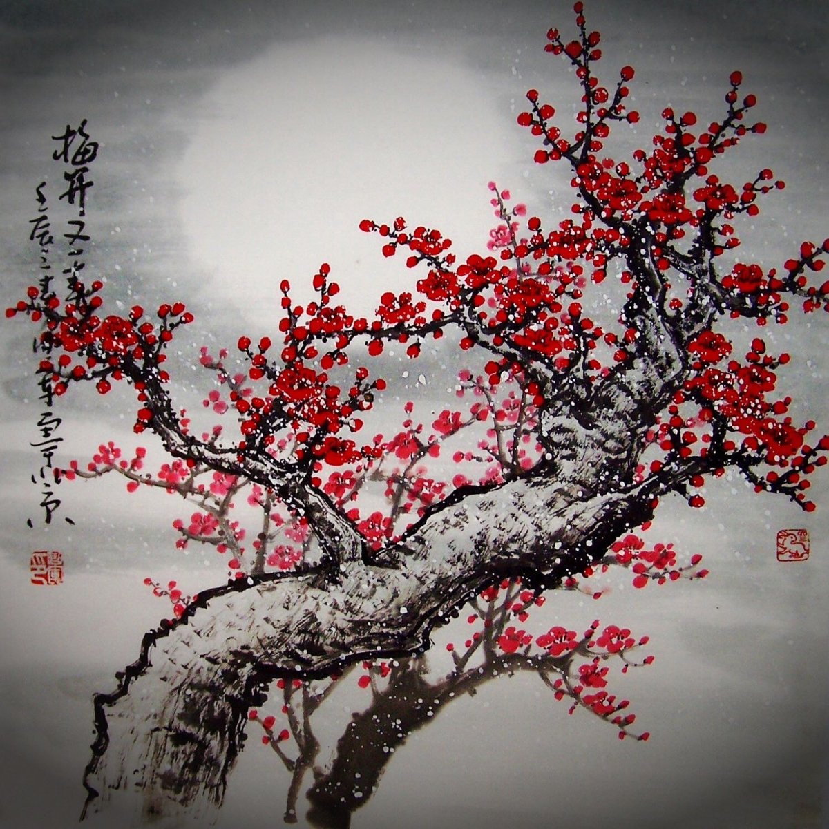 Вишня гриот белорусский