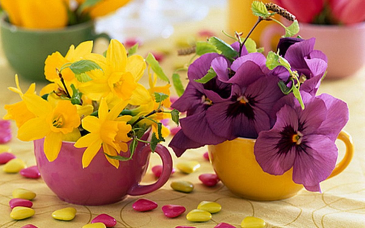 Яркого мартовского дня