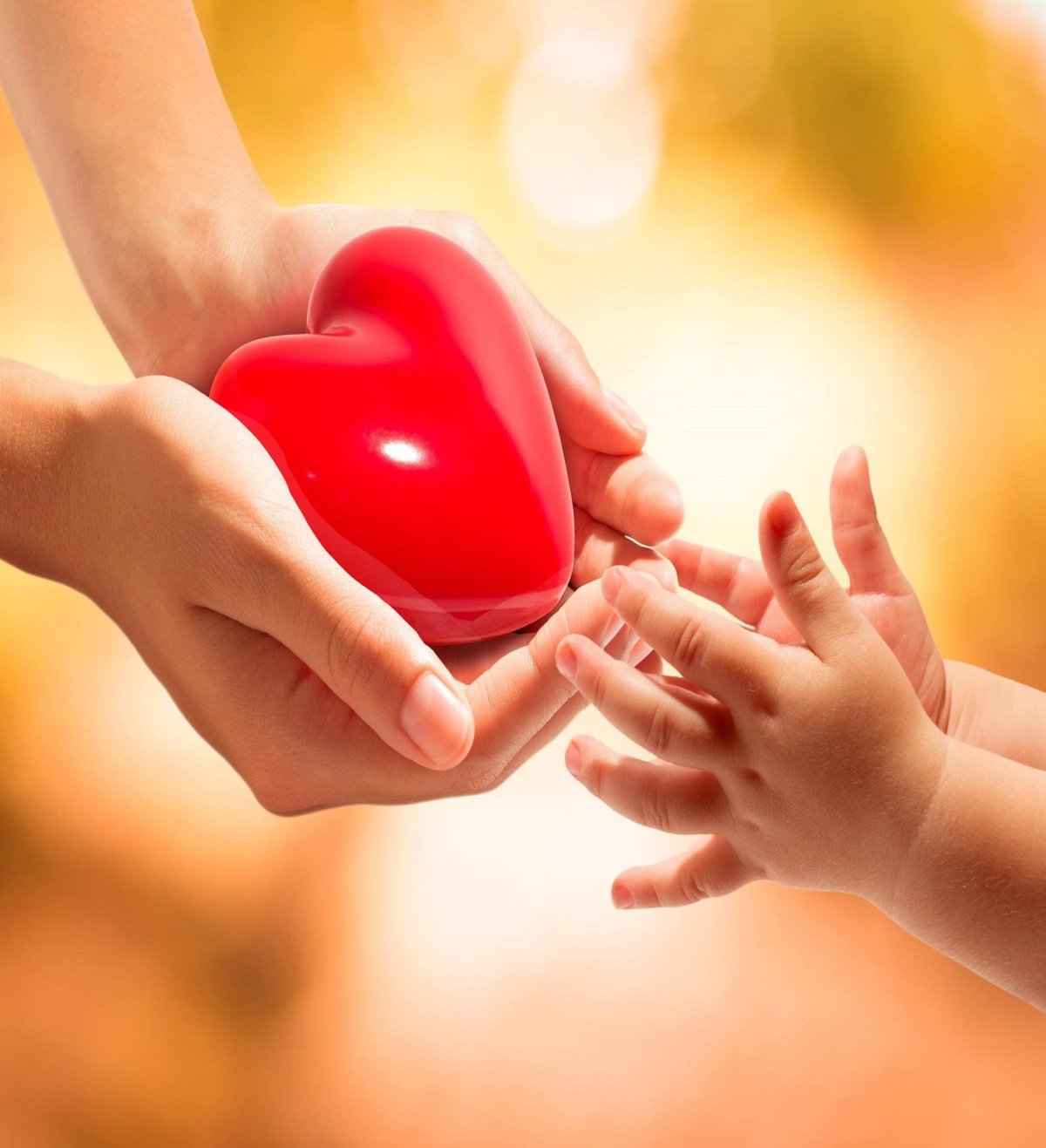 Сердечно тебя обнимаю