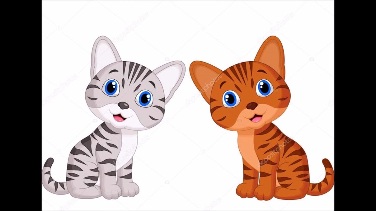 Котенок на прозрачном фоне