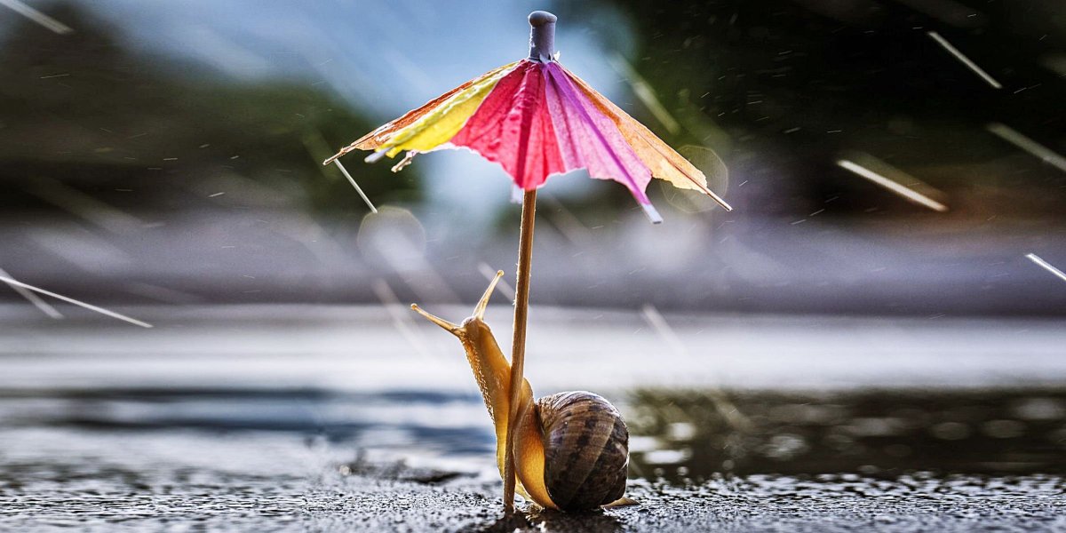 Дождик летом