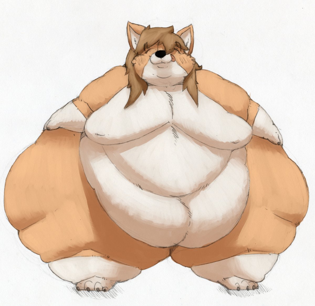 Фурри корги