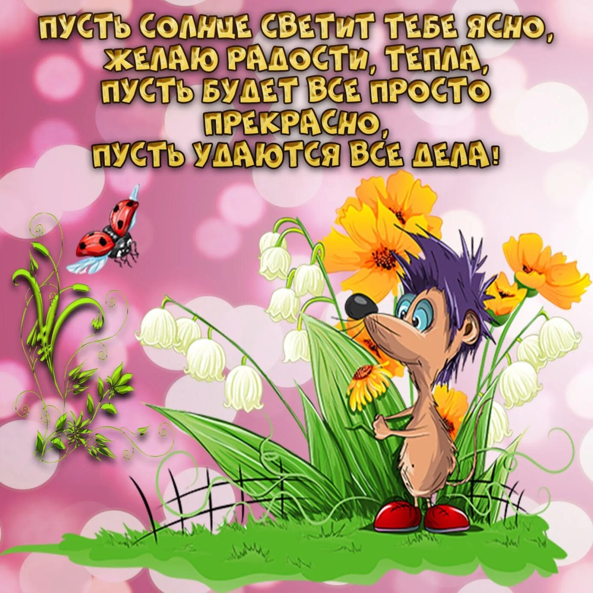 Открытки с добрым утром