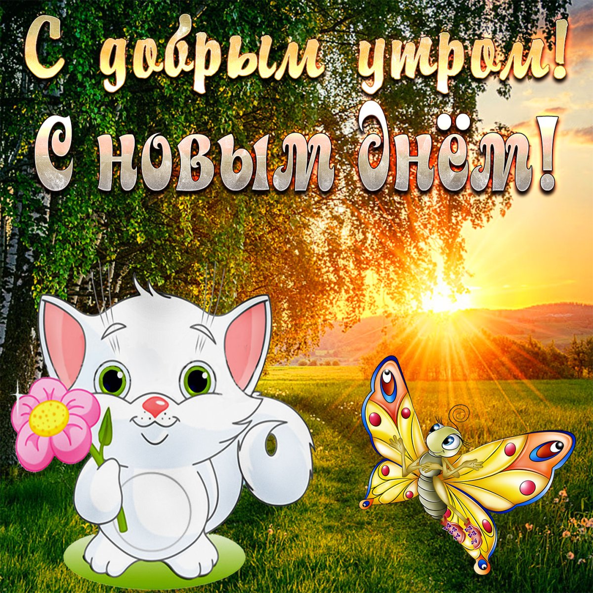 Пожелания с добрым утром девушке