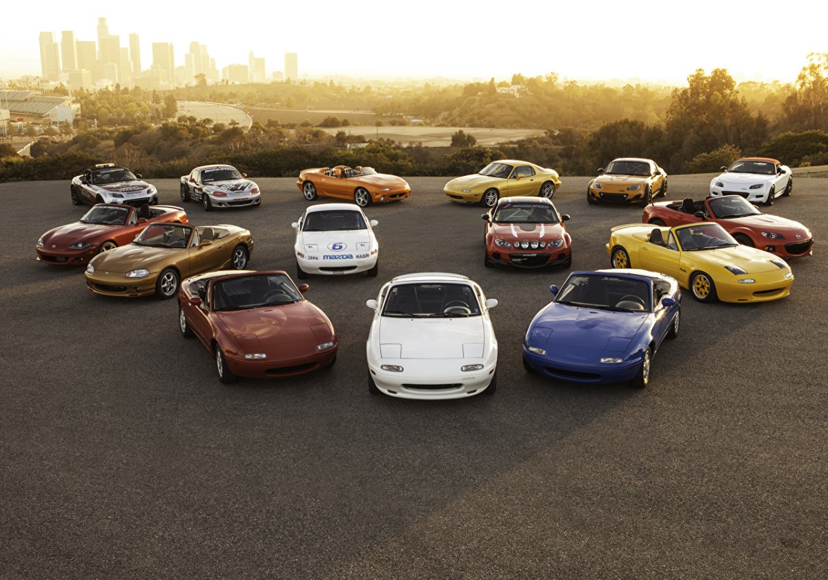 Много машин