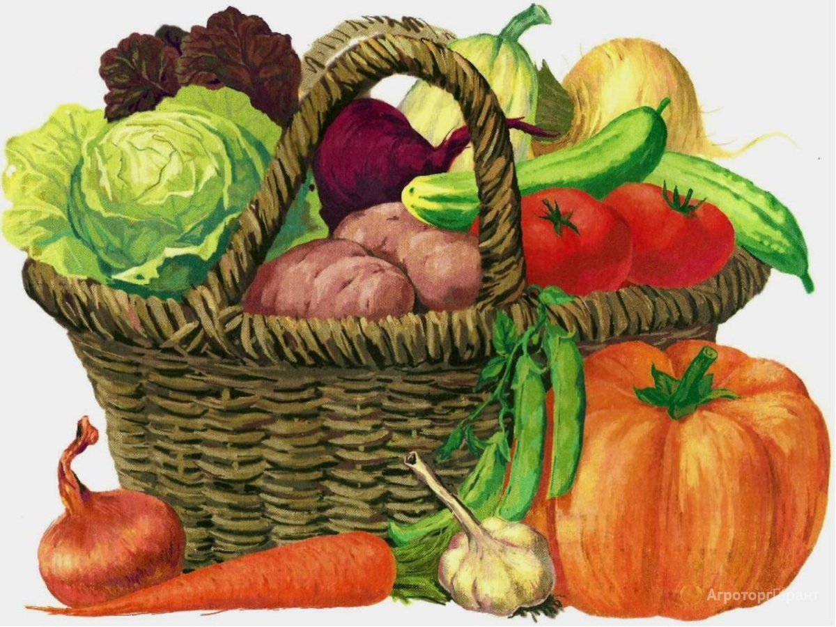 Корзинка с овощами мультяшная