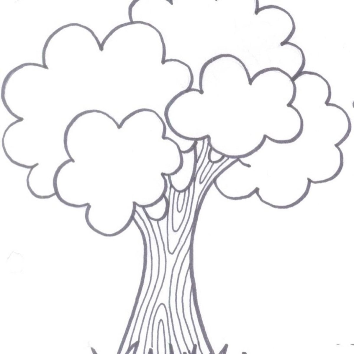 Дерево раскраска