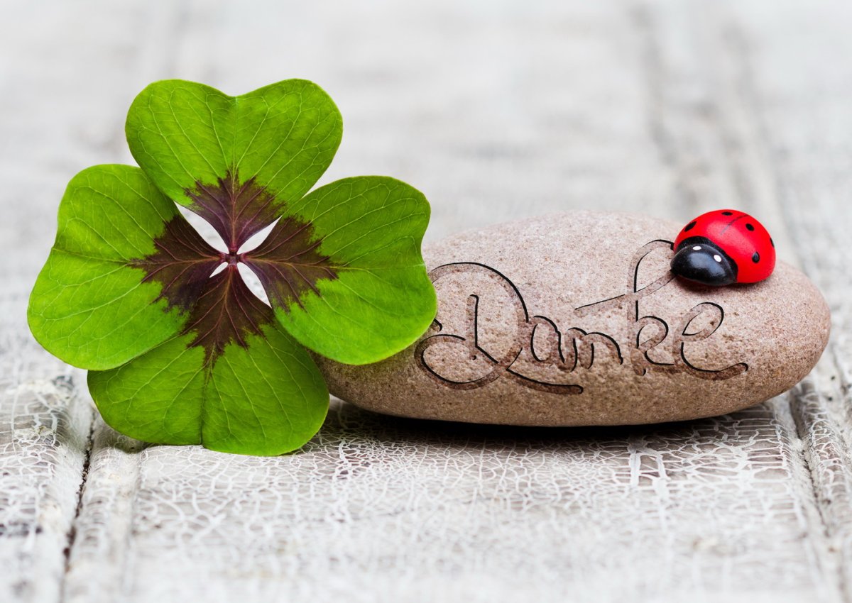 Удачи стильные