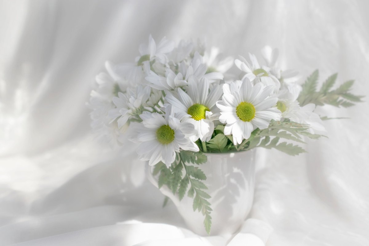 Букет ромашек на снегу