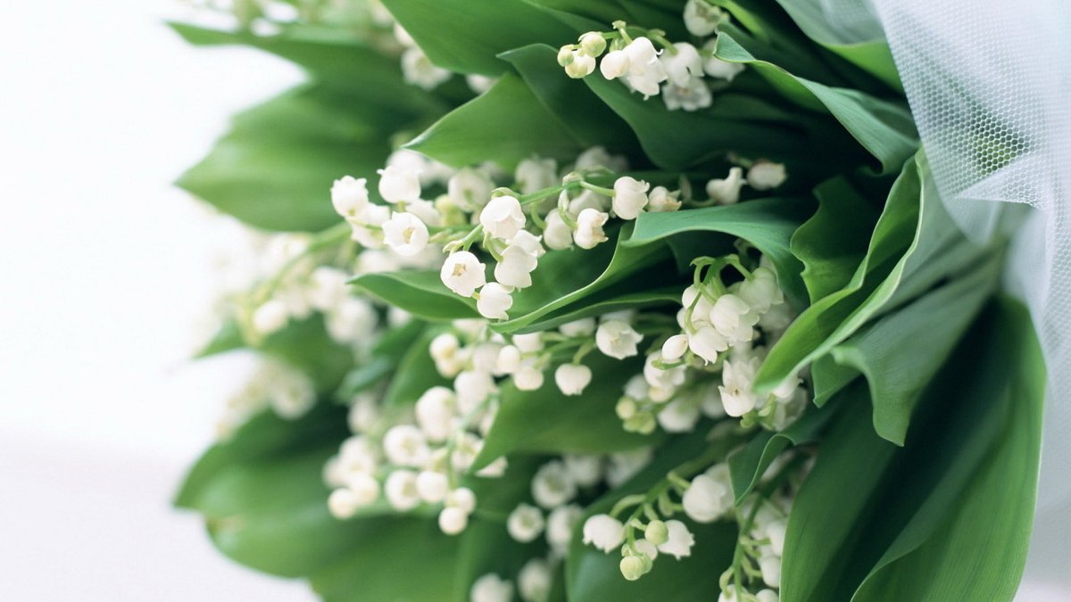 Букет из ландышей