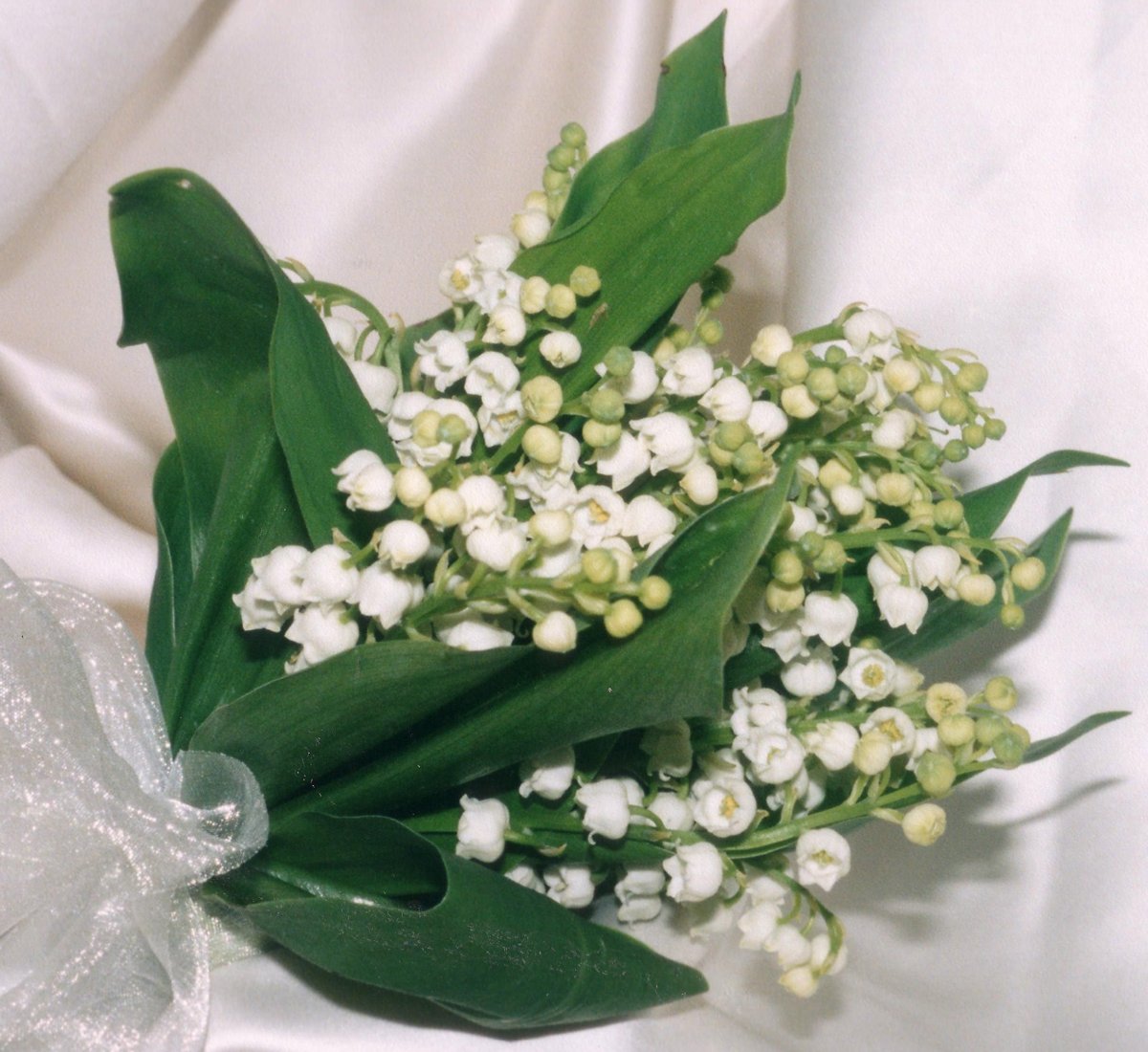 Букетик ландышей