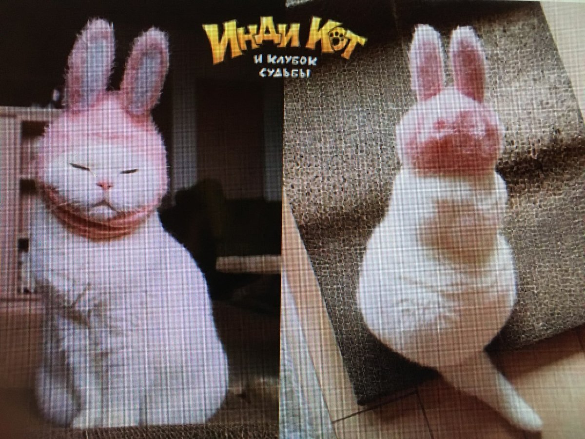 Зайцы дерутся