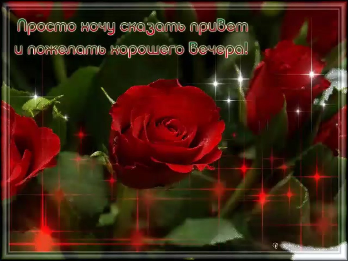 Открытка с вечерним приветиком