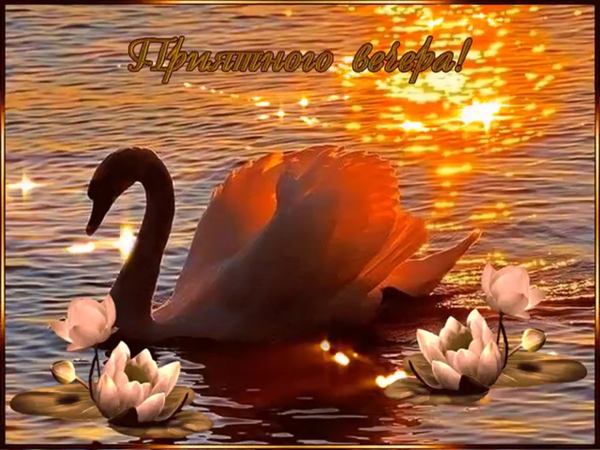 Открытки добрый вечер