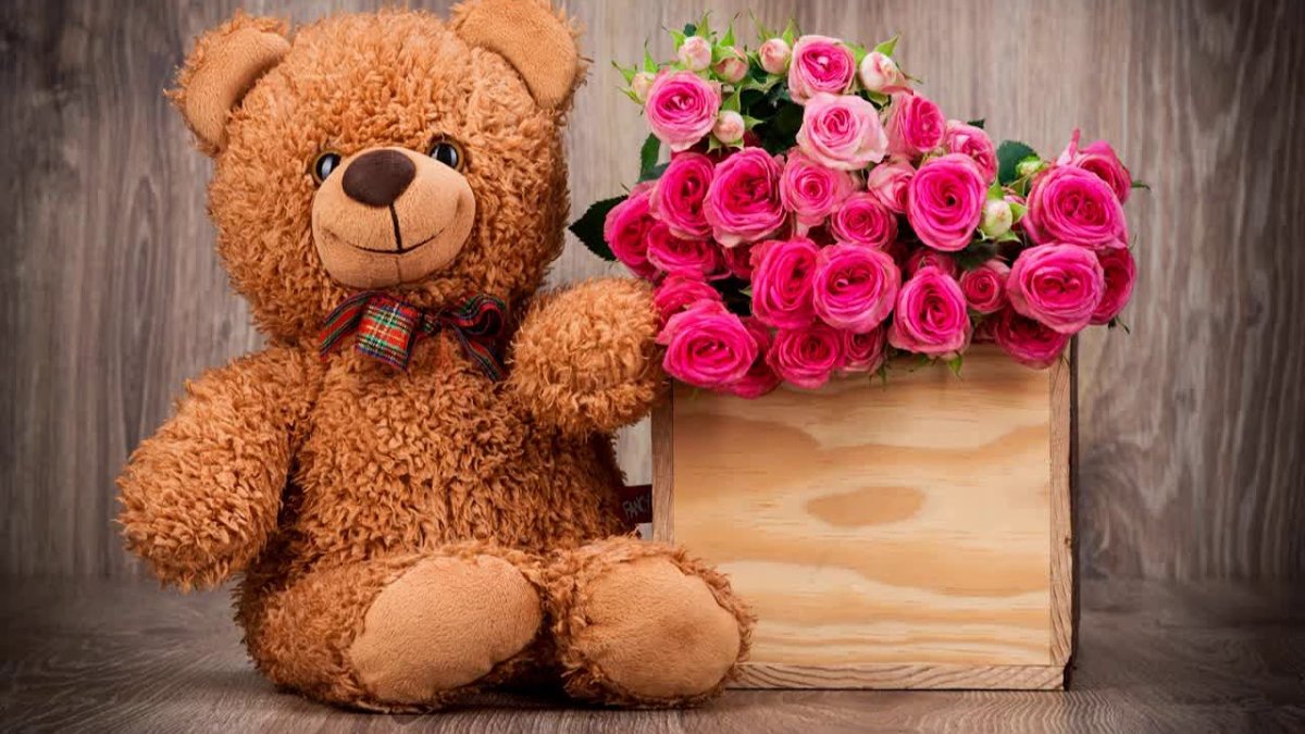 Поздравления с днём рождения сетсре