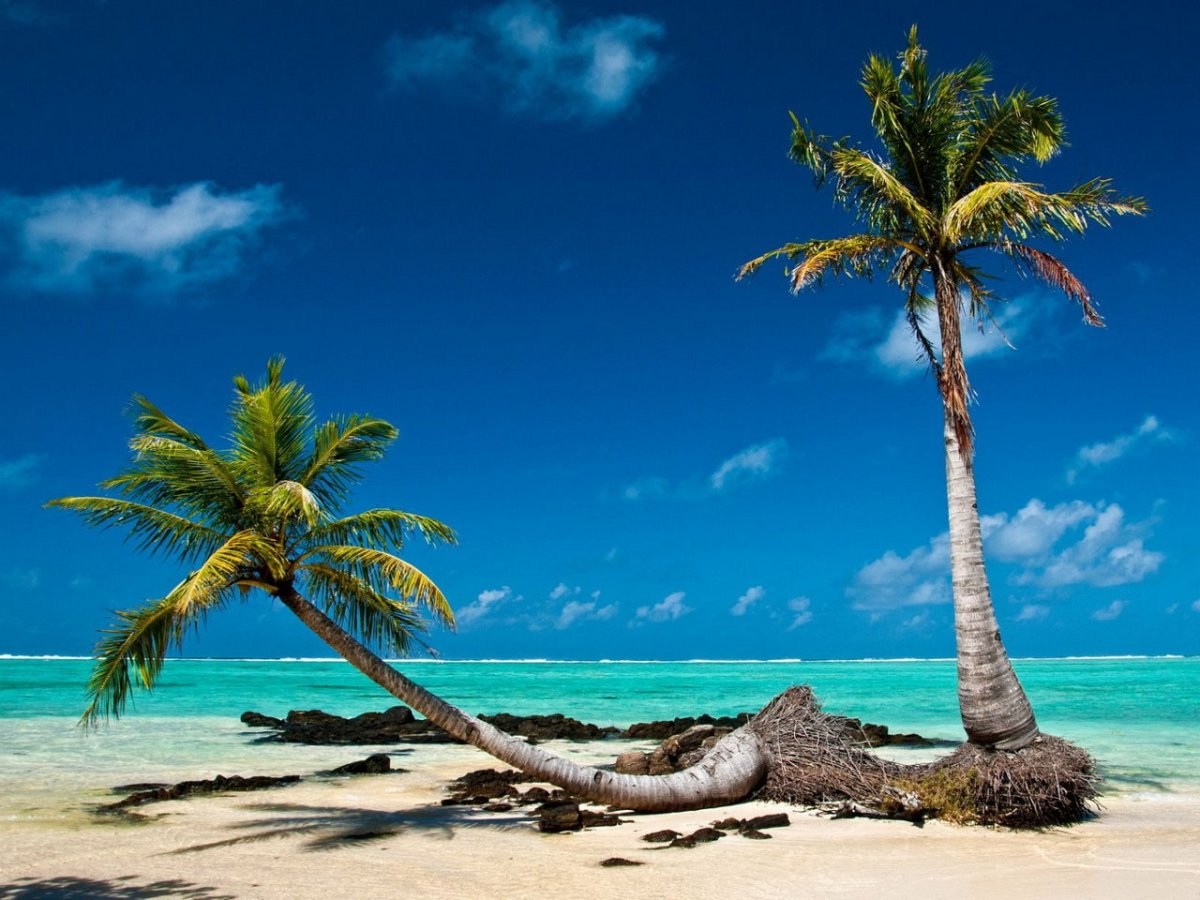 Мадагаскар материковый остров