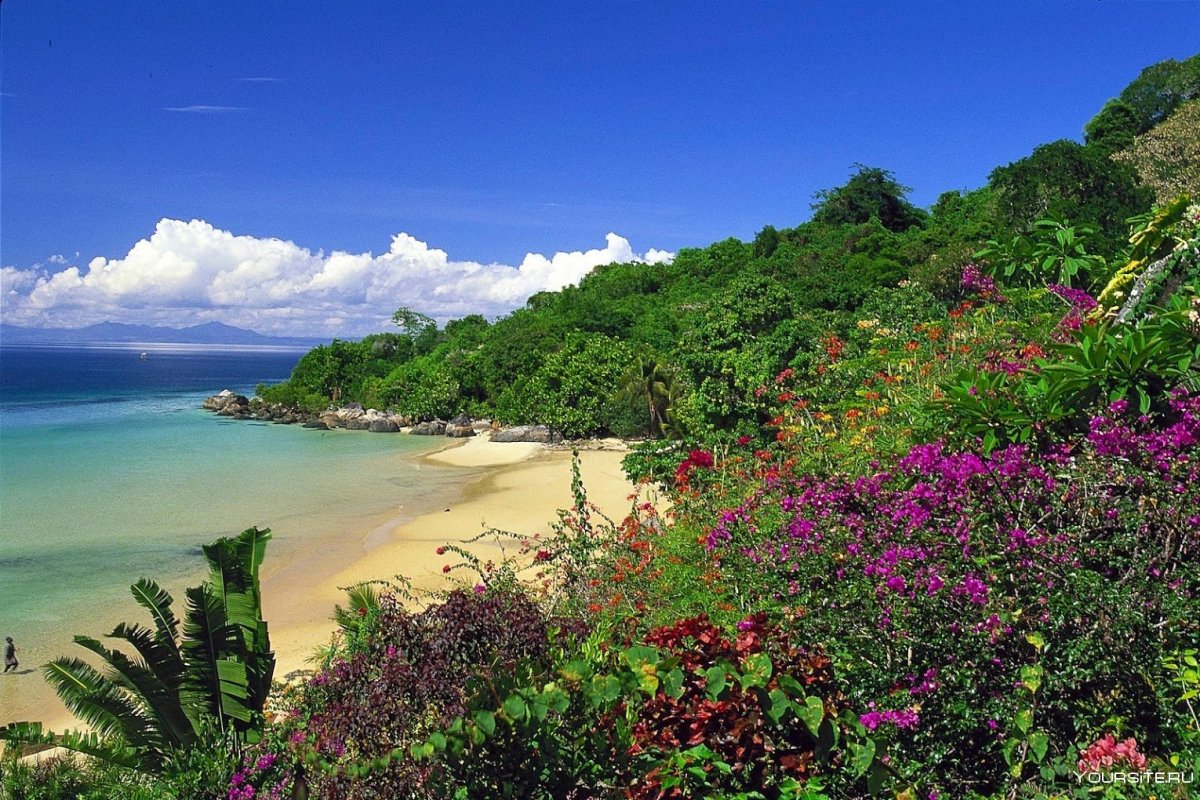 Мадагаскар остров природа