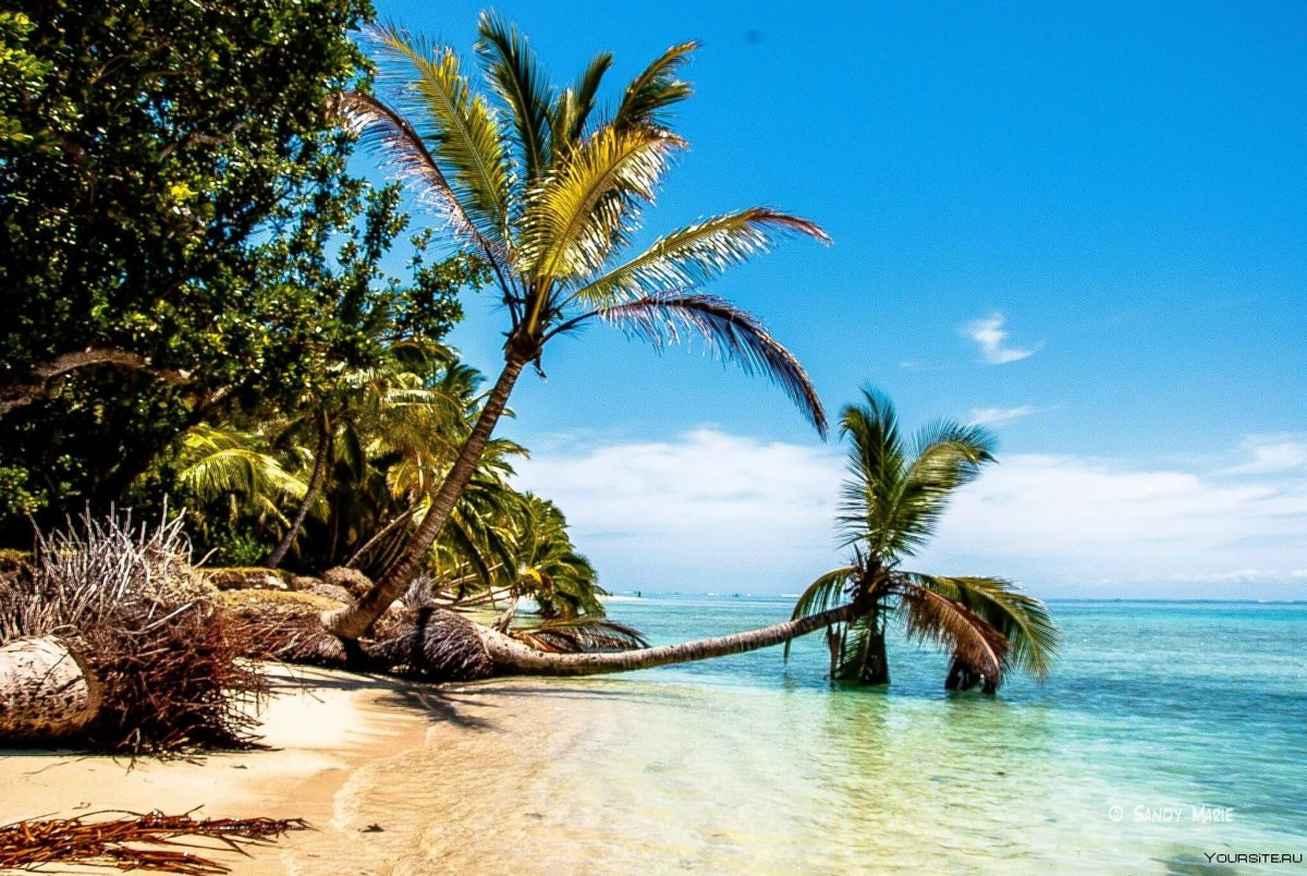 Восточное побережье Мадагаскара