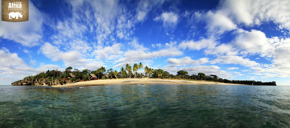 Рики острова Мадагаскара