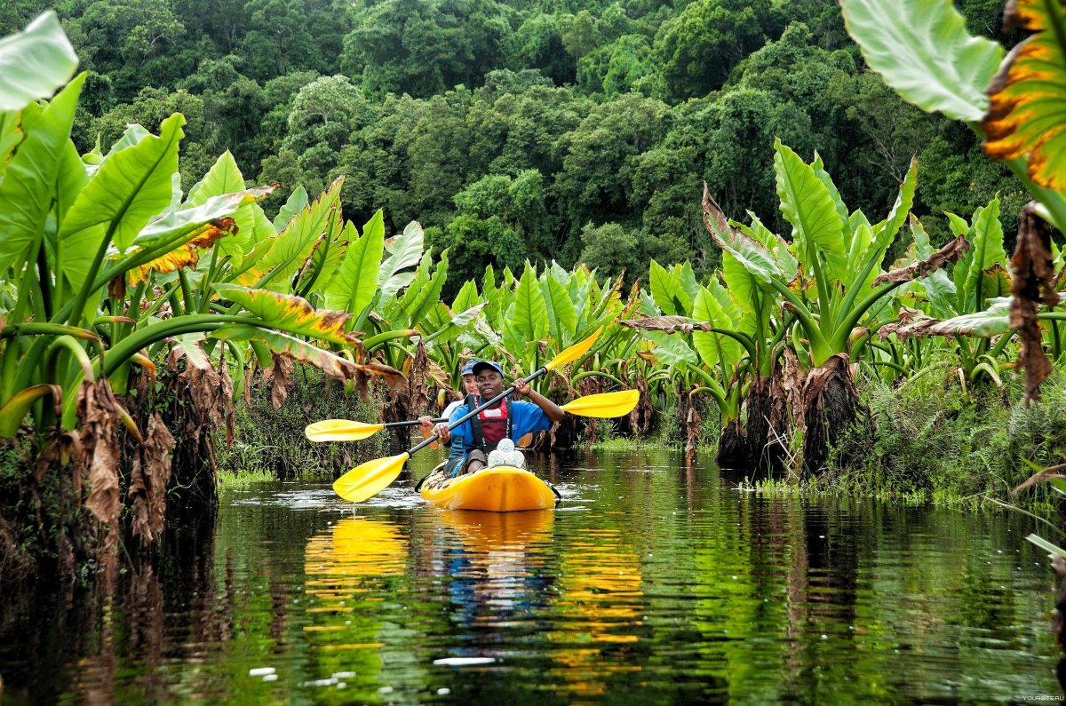 Мадагаскар остров туристы