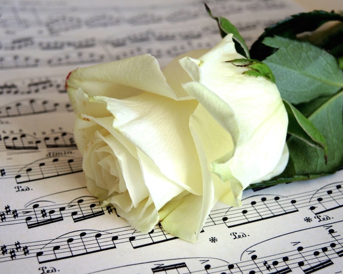 Спасибо за поздравления