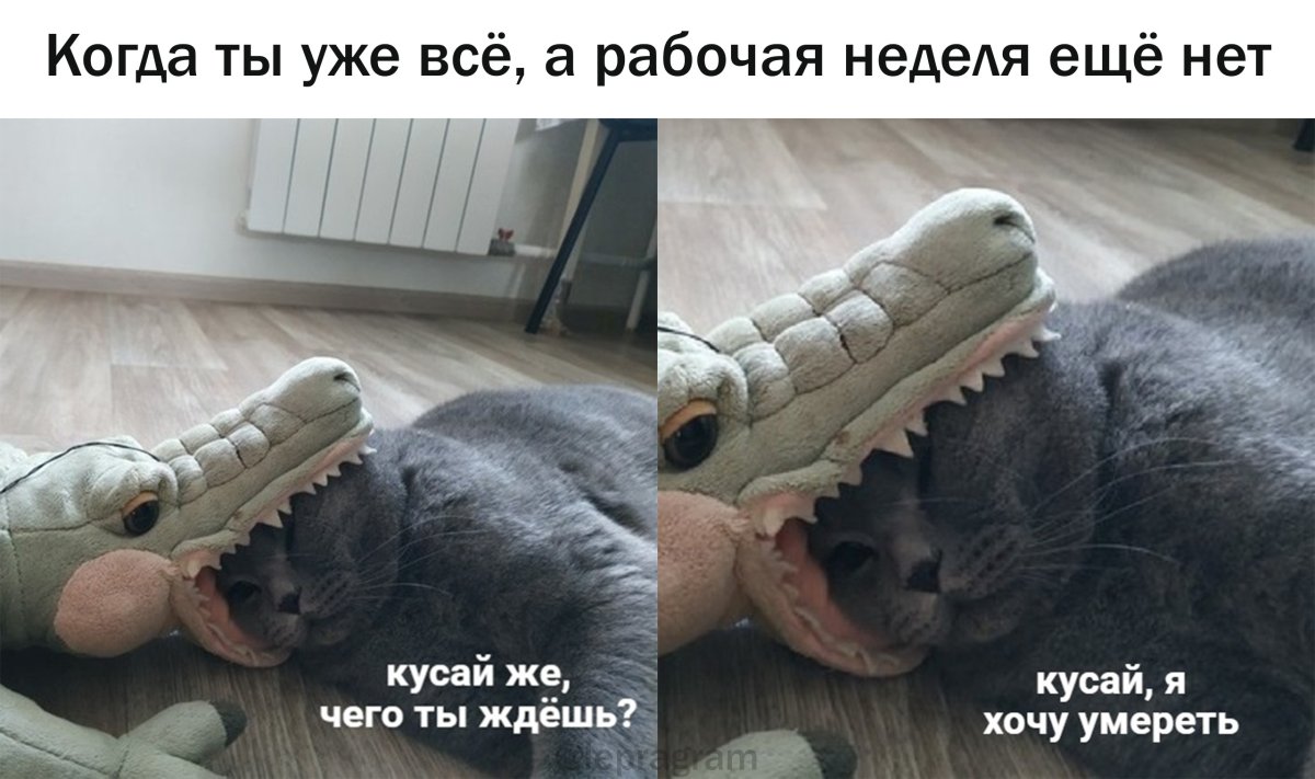 Когда ты уже все а неделя еще нет