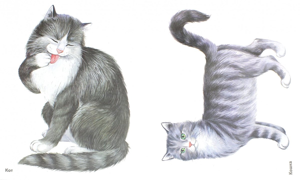Кошка для дошкольников