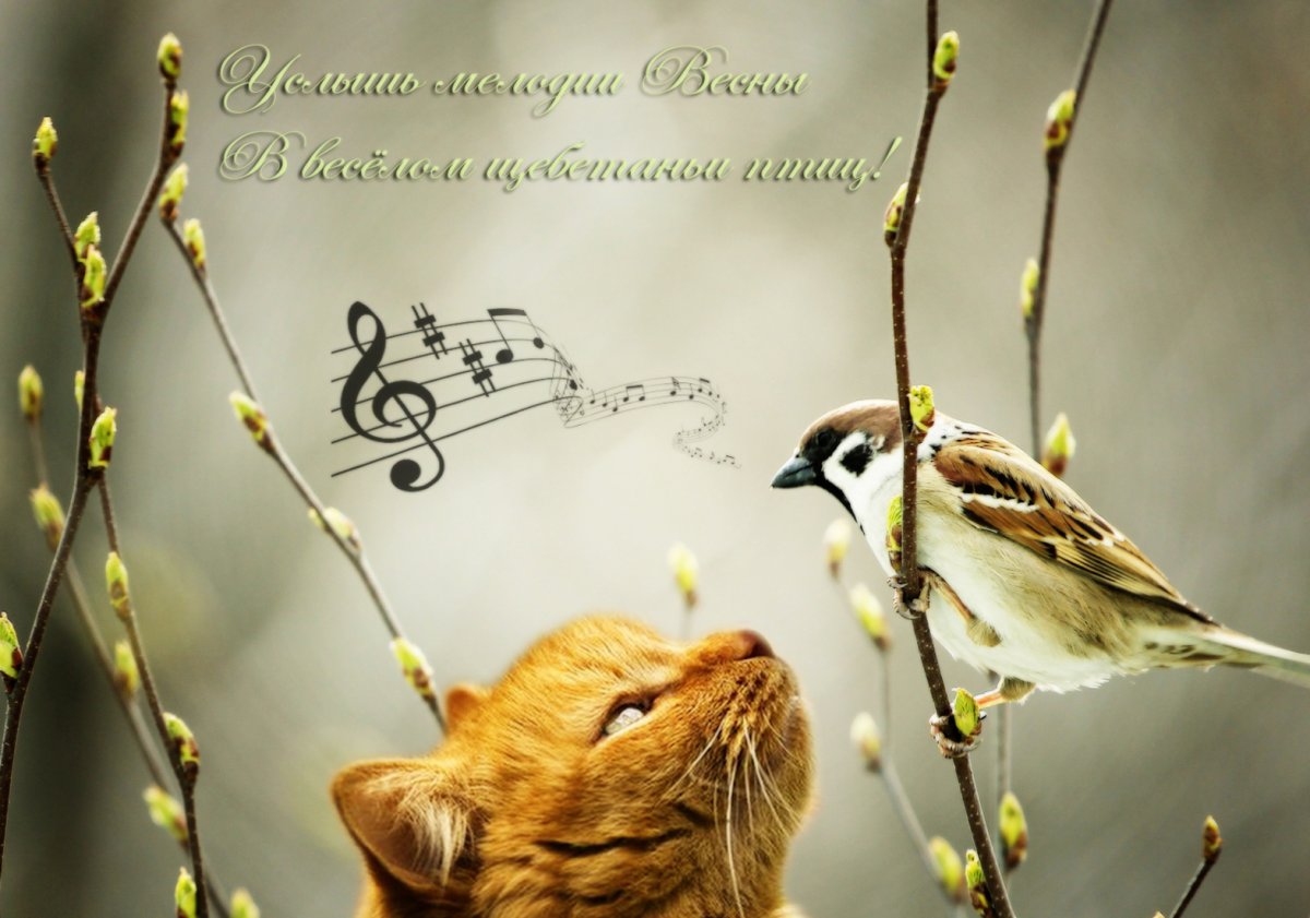 Поздравление с первым днем весны