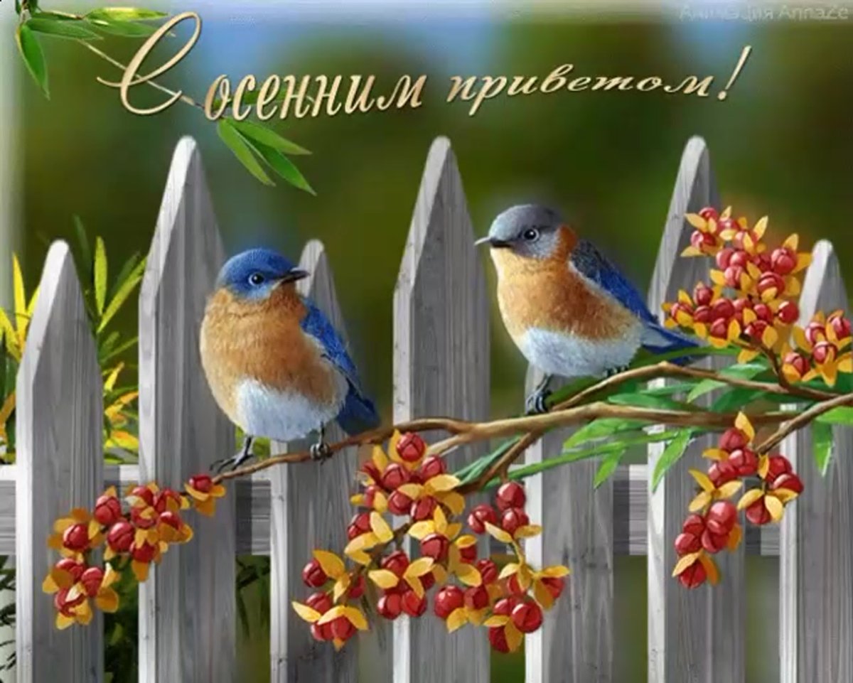 С первым апрельским деньком