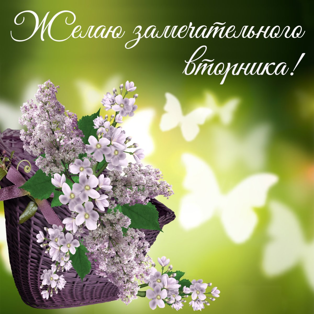 Доброе Весеннее утро