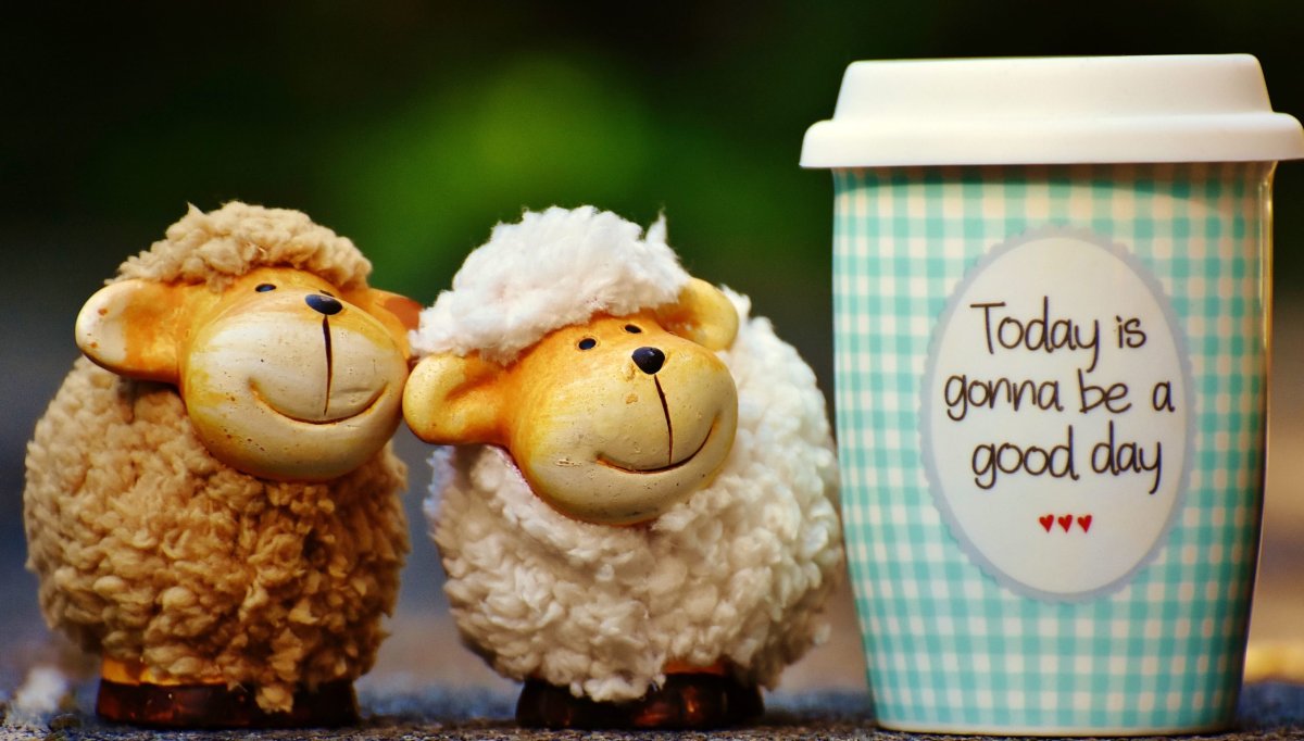 Позитивного настроения