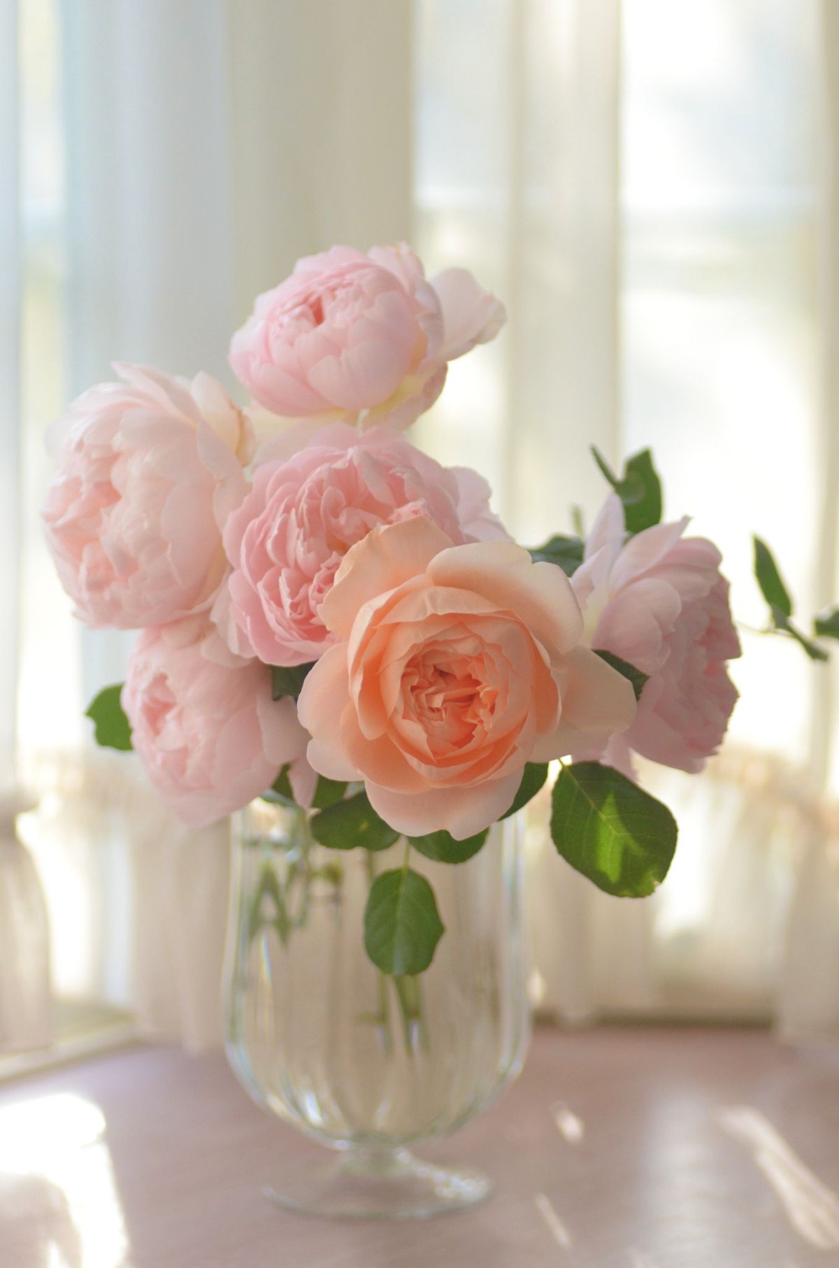 Эван Лазар доброе утро