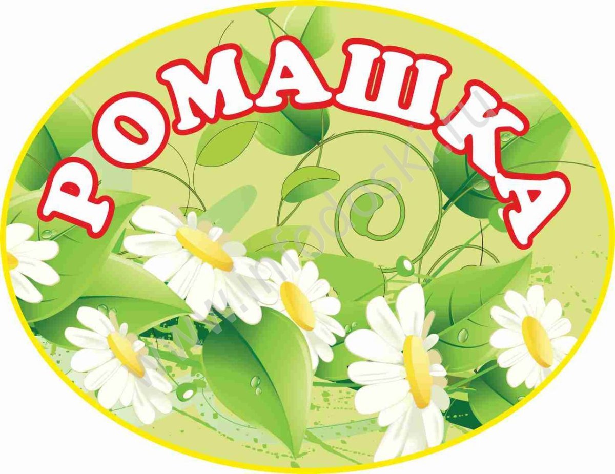 Табличка группа ромашки