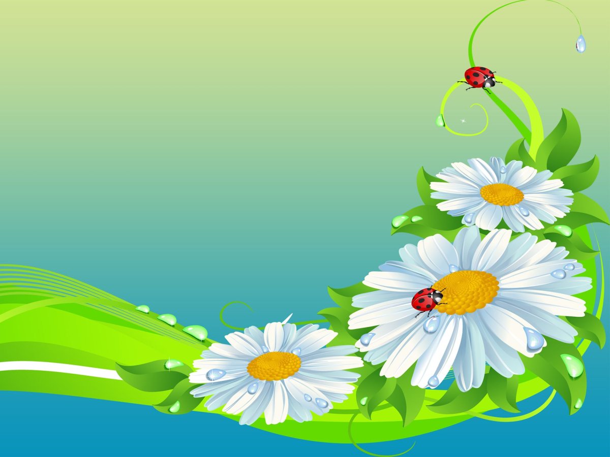 Девиз группы Ромашка